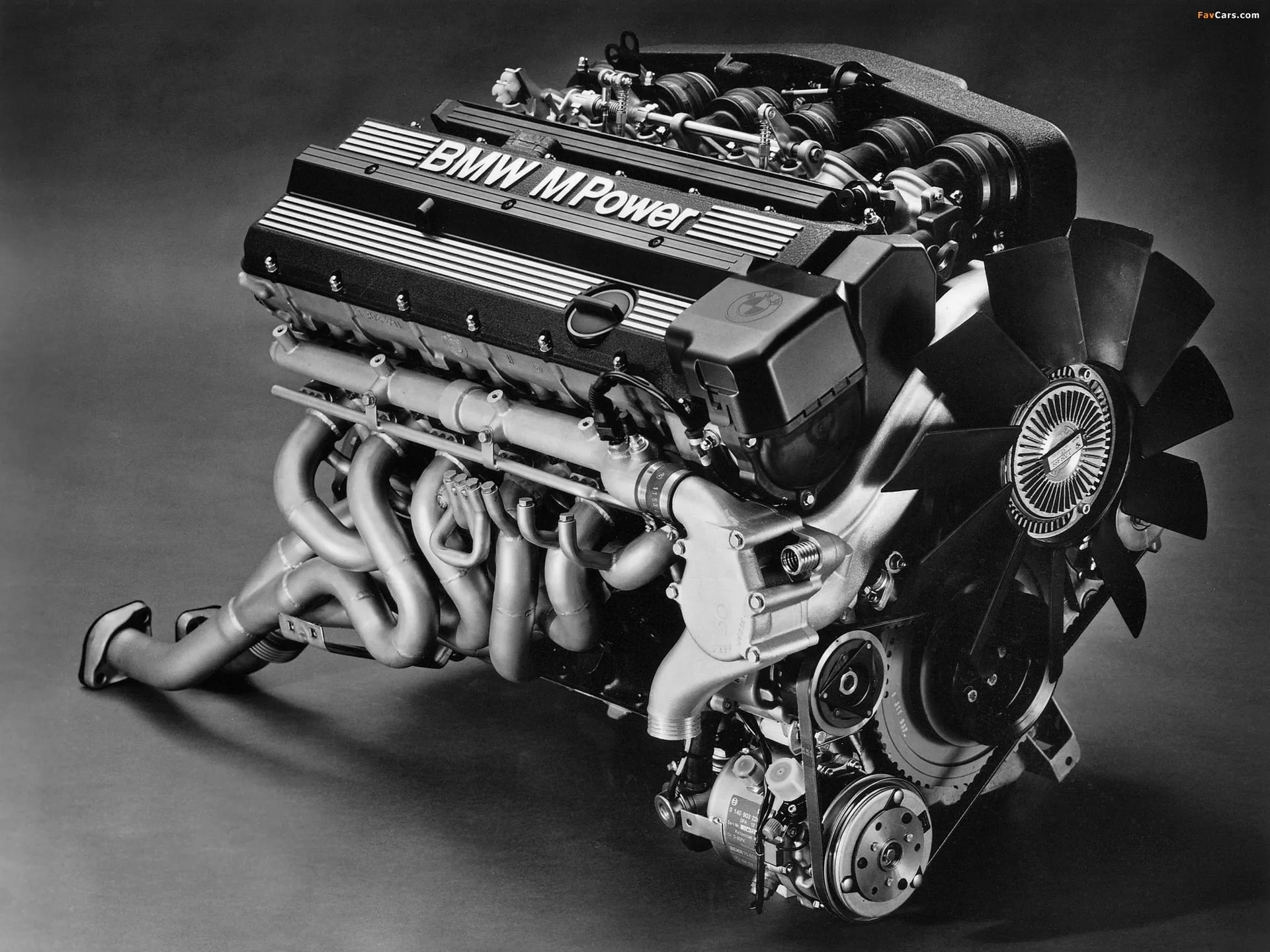 Engine bay ready for a professional vehicle health check